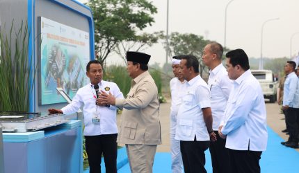 Presiden Prabowo bangun industri baterai