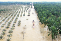 Deretan truk BBM dan alat berat bergerak menuju Aceh Tamiang melalui jalur yang masih tergenang, memperlihatkan upaya pemerintah memulihkan akses logistik. (Dok. Tim Media Prabowo)