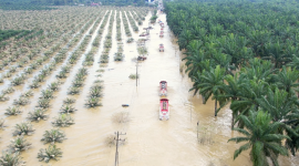 Deretan truk BBM dan alat berat bergerak menuju Aceh Tamiang melalui jalur yang masih tergenang, memperlihatkan upaya pemerintah memulihkan akses logistik. (Dok. Tim Media Prabowo)