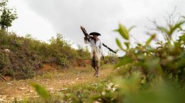 Warga memikul logistik sejauh 7 km menuju Desa Batu Nagodang Siatas yang terisolir akibat longsor dan akses jalan terputus. (Dok. Tim Media Prabowo)