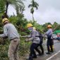 Personel BUMN bekerja memulihkan listrik, telekomunikasi, dan logistik di wilayah terdampak banjir bandang dan longsor di Sumatera. (Dok. pln.co.id)